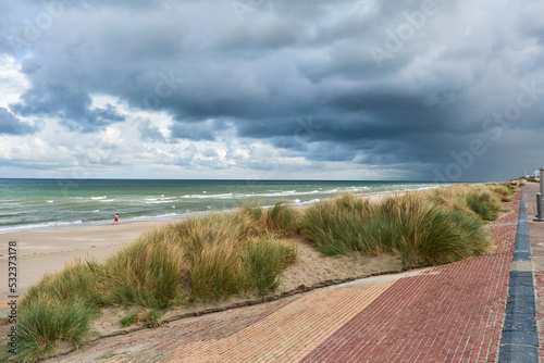 breakwater and marram grass over dunes and storm clouds at Malo-Les-Bains beach in Dunkirk  france