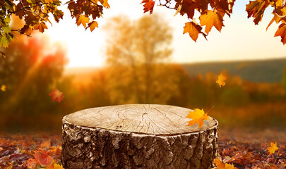 Beautiful autumn landscape with  stump in the forest. Colorful foliage in the park. Falling leaves natural background. Mockup podium for product presentation.
