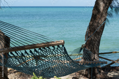 hammock on the beach with view on the ocean © Nicole