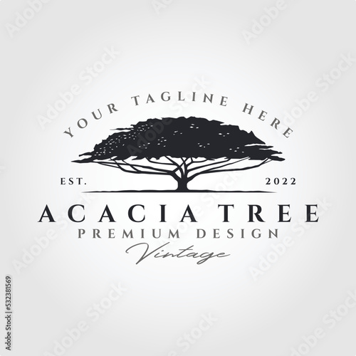 acacia tree silhouette vector logo symbol illustration design, vintage tree logo design