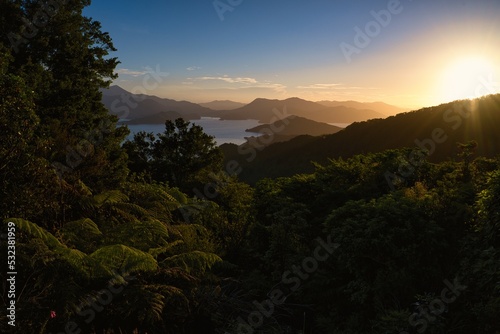 Sunset overlooking Nikau Cove, Marlborough Sounds, New Zealand photo