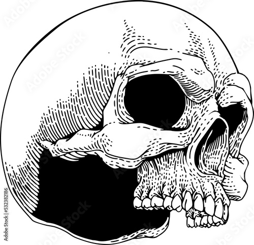 Skull Skeleton Grim Reaper ...