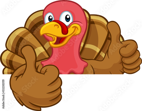 Turkey Thanksgiving or Chri...