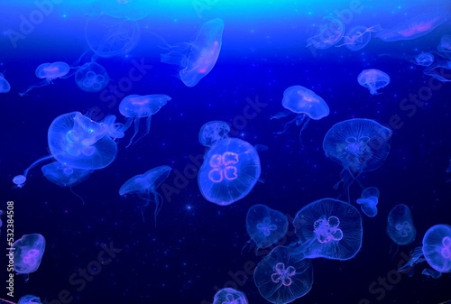 幻想的な青いクラゲの写真 © ILLUSTRATION ＊ STORE