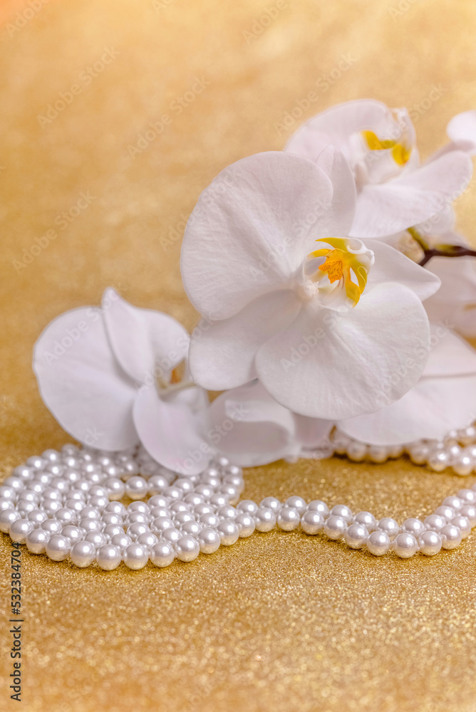 white Orchid and pearl necklace on a shiny gold background
white Orchid and pearl necklace on a shiny gold background
