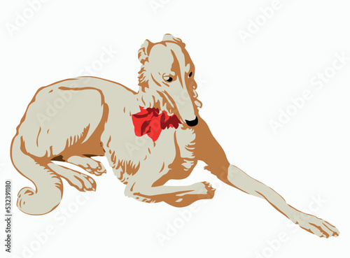Canvas-taulu Dog Russian Hunting Sighthound  is a Russian breed of hunting dog of sighthound type