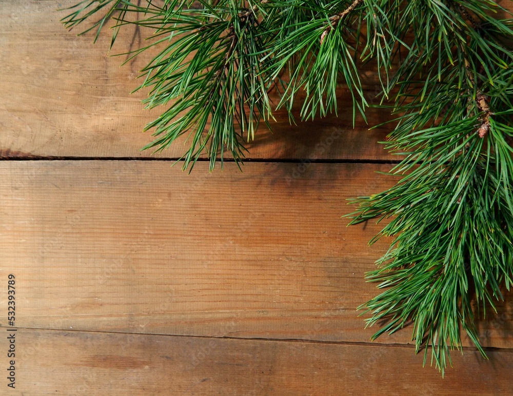 On a wooden table lies a pine branch in the upper right corner On a wooden table lies a pine branch in the upper right corner