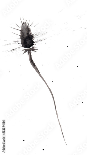 Abstract burdock flower with blot and splash. Isolated on white. Hand drawn china ink on paper textures. Inkdrawn collection. Raster photo