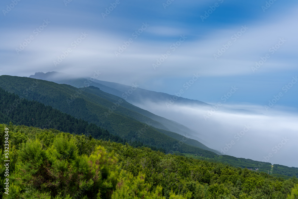Sea of clouds over the pine tree forest, long exposure