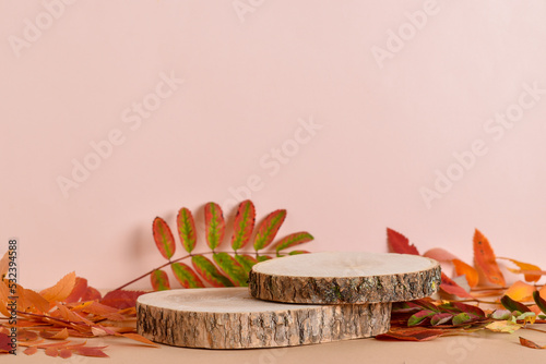 Wallpaper Mural Autumn podium made of natural wood and autumn foliage. Torontodigital.ca