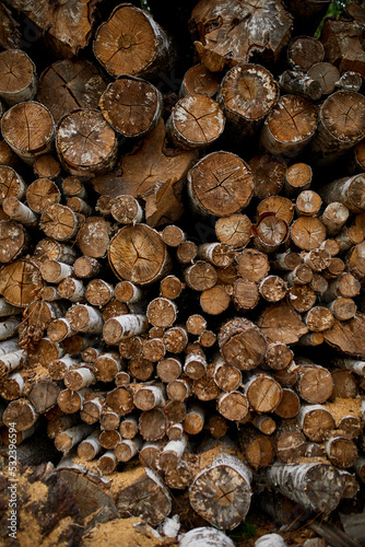 Dry chopped  sawn wooden logs wooden pole texture  lumber or timber industry concept