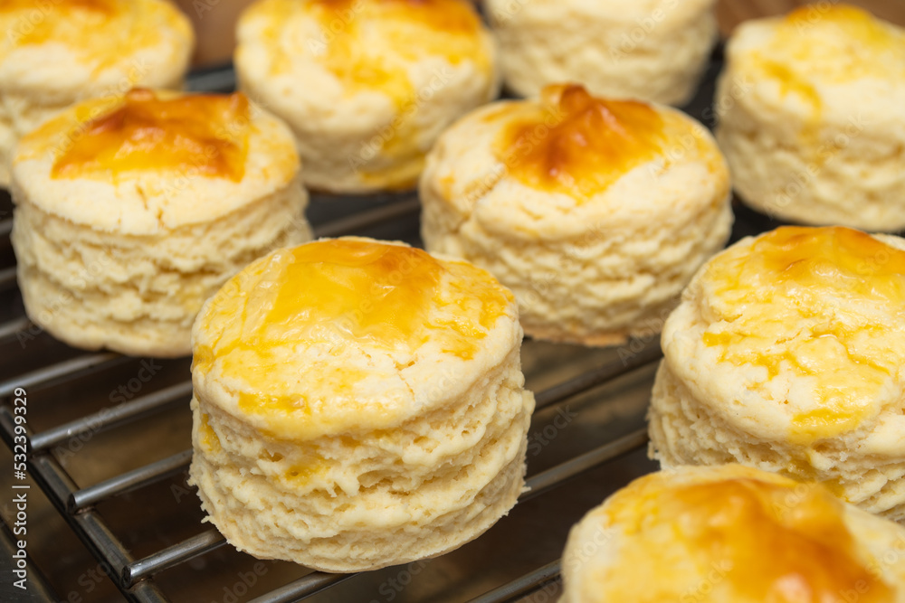Homemade Scones on the cooling tracke. Scones is English pastry for afternoon tea Homemade Scones on the cooling tracke. Scones is English pastry for afternoon tea