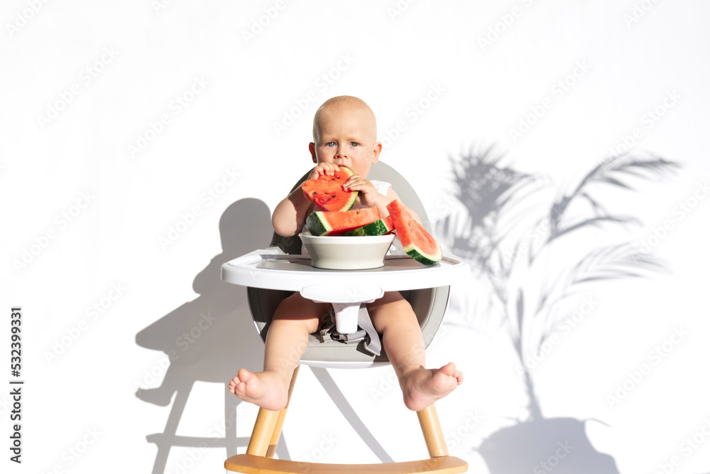 Toddler boy in feeding chair eats watermelon, isolated on white background. Vegan healthy diet, feeding, solid food concept. Healthy fruit snack. Cute baby, child, kid emotins. Copy space Toddler boy in feeding chair eats watermelon, isolated on white background. Vegan healthy diet, feeding, solid food concept. Healthy fruit snack. Cute baby, child, kid emotins. Copy space