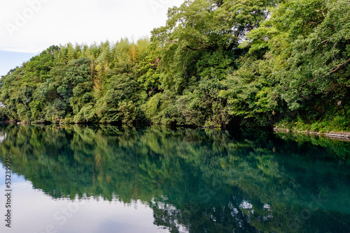 湖と林が隣接する風景
