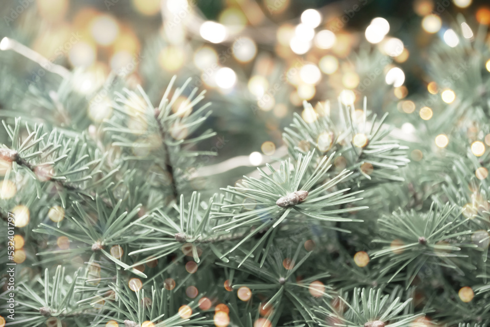 christmas tree branches with golden bokeh lights christmas tree branches with golden bokeh lights