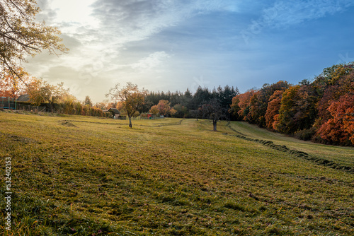 Ein Garten in herbstlichen Farben