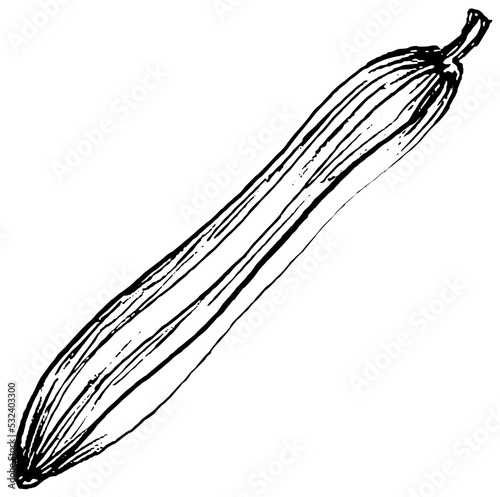 Ridge gourd