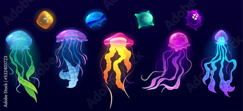 Jellyfish underwater animals, colorful jelly fish deep ocean creatures with long poisonous tentacles isolated set. Tropical medusa aquatic wildlife, beautidul sea life, Cartoon vector illustration