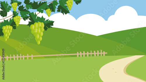 bunches of grapes on a background of green hills
