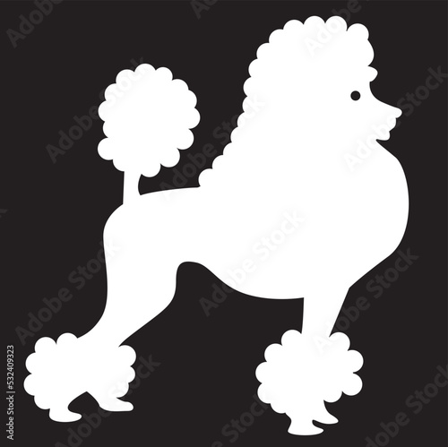 Vector image of an dog (poodle)