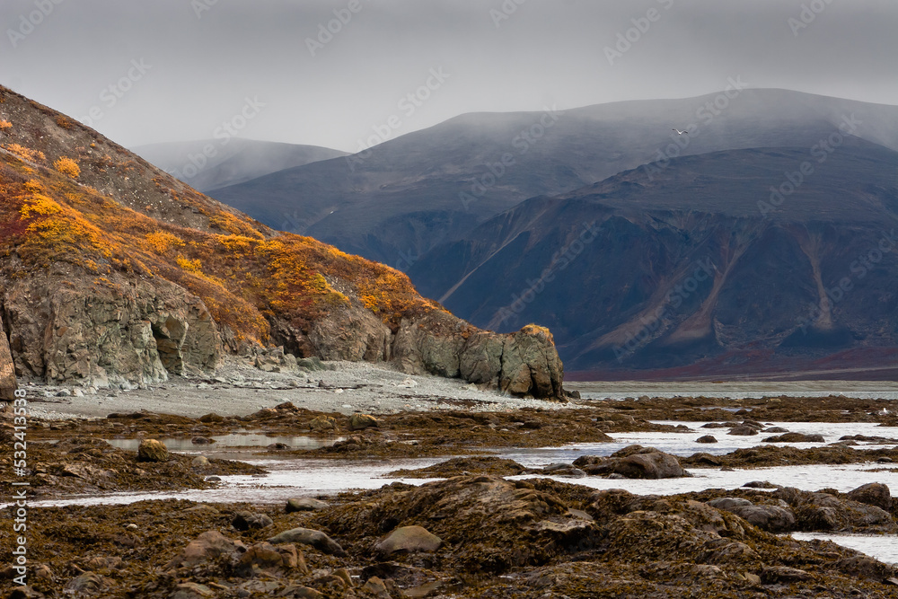 Sea coast at low tide. Stones and algae on the seabed in shallow water. View of the rocky cape and mountains in the distance. Autumn landscape. Cape Dangerous, Kresta Bay, Bering Sea, Chukotka, Russia