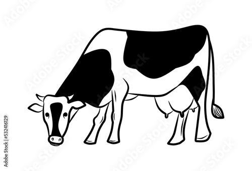 Cow is grazing hand draw vector illustration