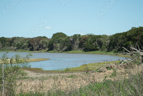 Laguna