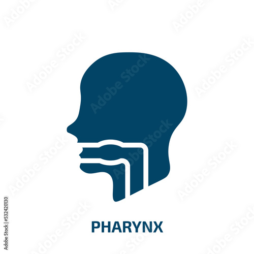 pharynx icon from medical collection. Filled pharynx, medical, human glyph icons isolated on white background. Black vector pharynx sign, symbol for web design and mobile apps