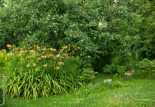 Fototapeta Naklejka Na Ścianę i Meble -  Lush green botanical garden, flowers and plants
