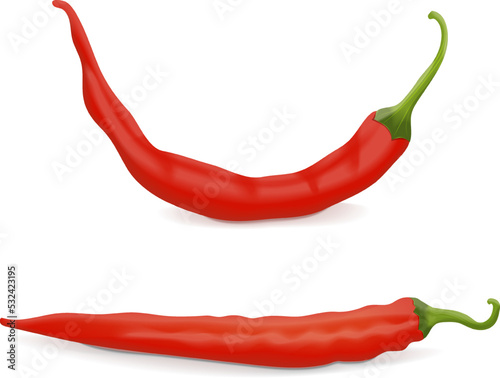 Cayenne peppers for banners, flyers, posters, social media. Ginnie peppers. Chili peppers. Fresh organic and healthy, vegetarian vegetables. Vector illustration isolated on white background.