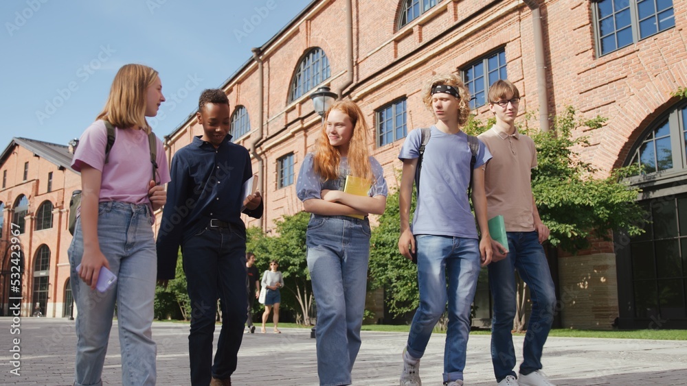 Obraz premium Cheerful multi-racial group of students talking and walking with books outside school. 