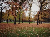 parco in autunno