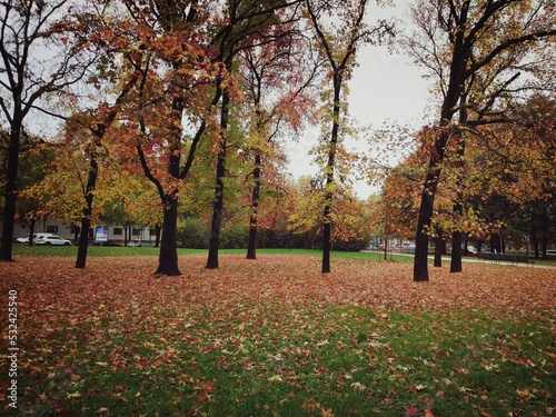 parco in autunno