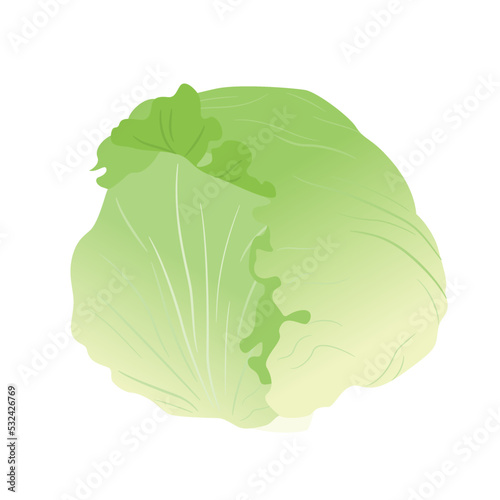 野菜イラスト　レタス.