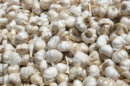 Close-up view of organic garlic. Food background.