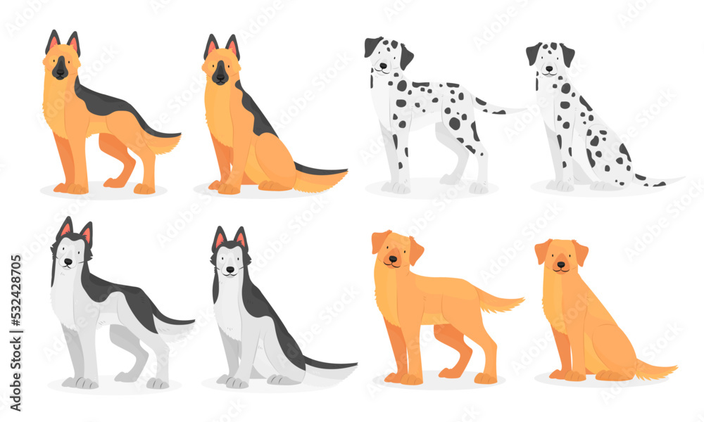 Obraz premium Collection of dog breeds German Shepherd, Dalmatian, Husky, golden Retriever, Labrador. Vector isolated pet illustration.