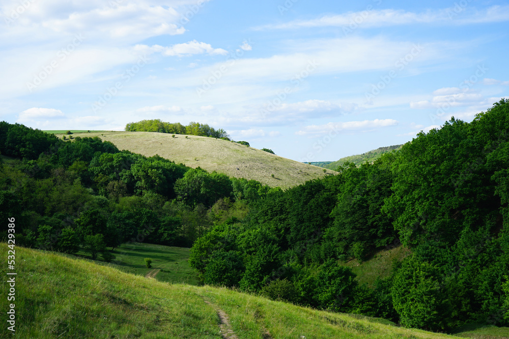 Hills and forests in spring, western Ukraine.
