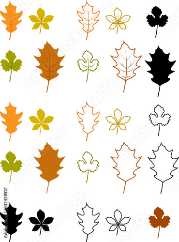 vector silhouettes of summer and autumn leaves