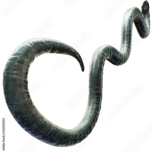 Tentacle CG Illustration with PNG Transparent Background