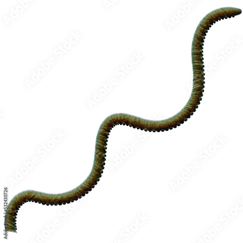 Tentacle CG Illustration with PNG Transparent Background