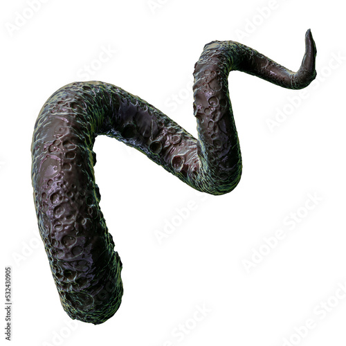 Tentacle CG Illustration with PNG Transparent Background