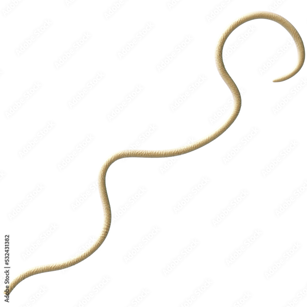 Tentacle CG Illustration with PNG Transparent Background