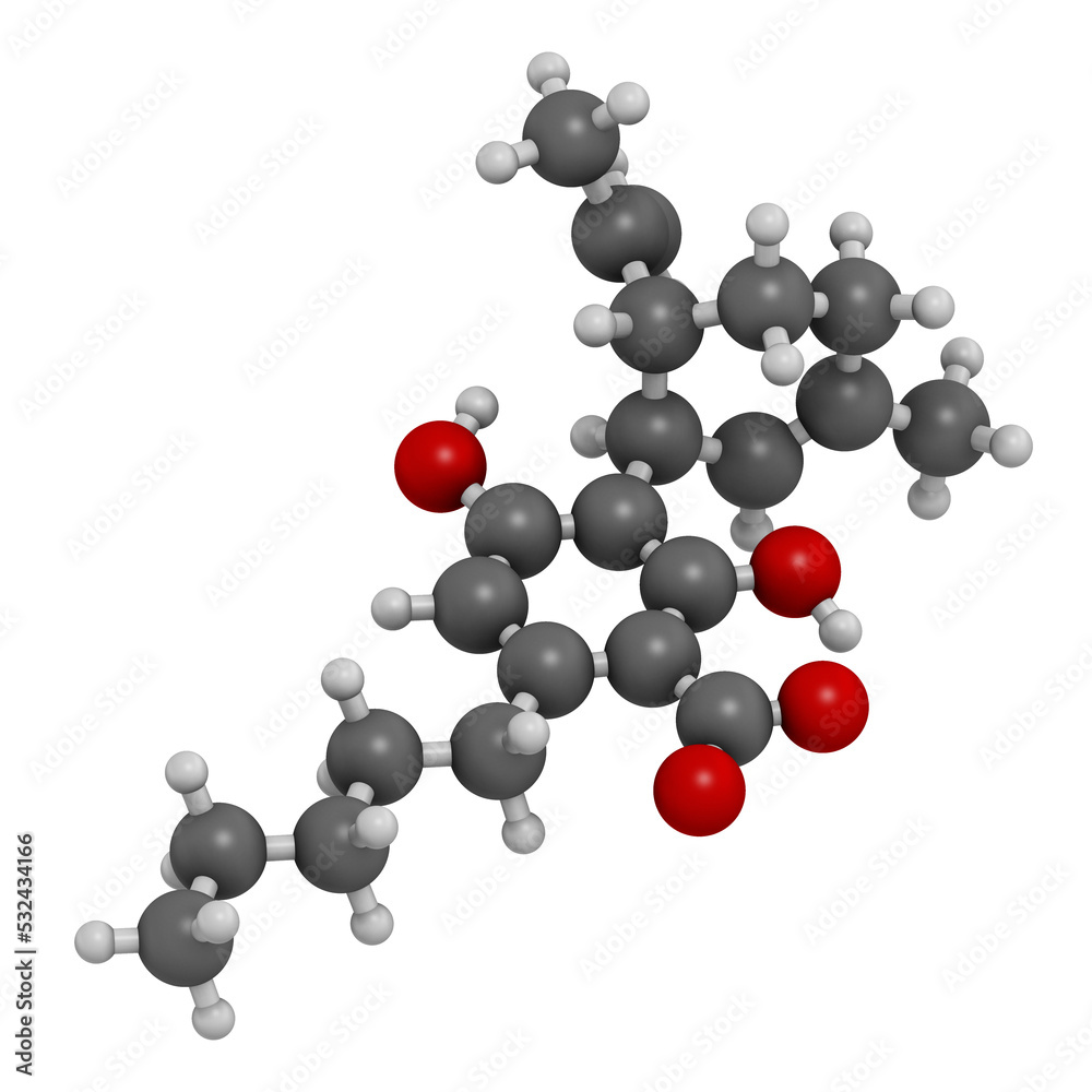 Cannabidiolic acid or CBDA cannabinoid molecule, 3D rendering. Cannabidiolic acid or CBDA cannabinoid molecule, 3D rendering.