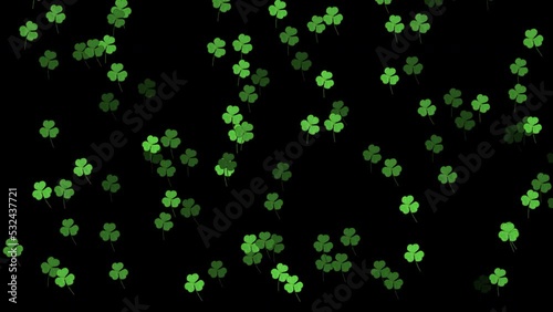 Green clover leaves closeup. NGreen clover leaves close up. Nature background. HD 4k video, black background overlay mode.ature background. UHD 4k video photo