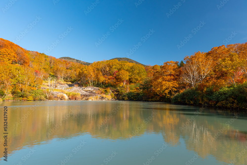 Autumn leaf season in Japan