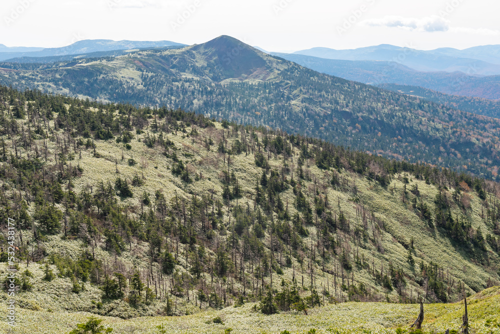 Fototapeta premium Autumn leaf season in Japan