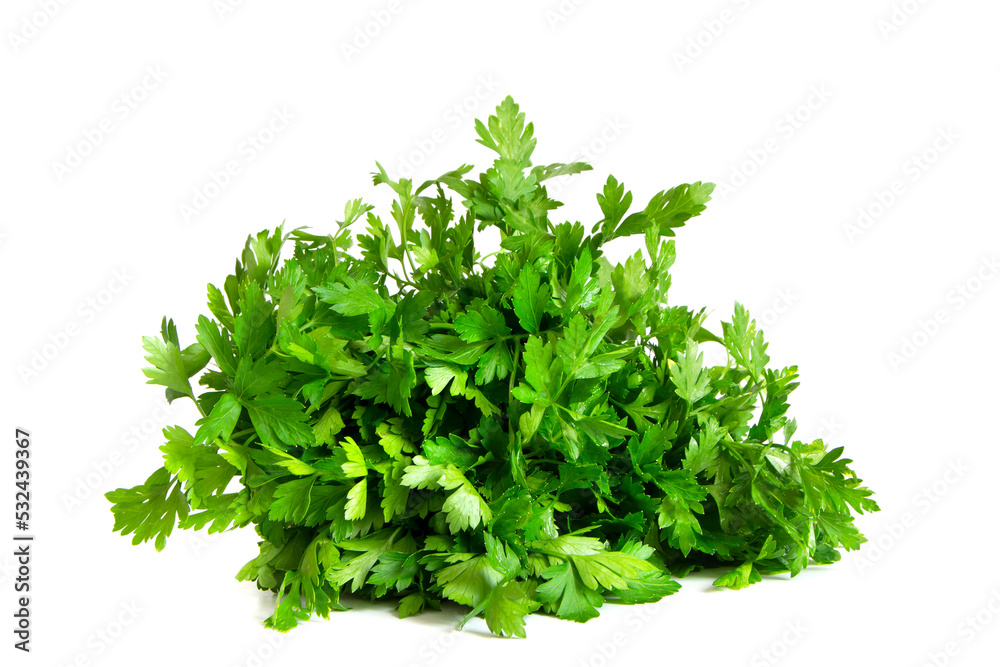 Fresh parsley bunch isolated on white background Fresh parsley bunch isolated on white background