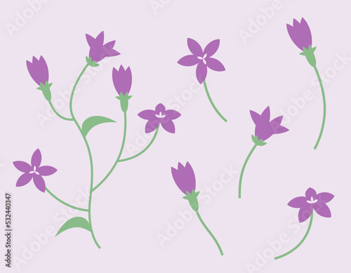 Set of campanula design elements. Wildflowers in flat style.