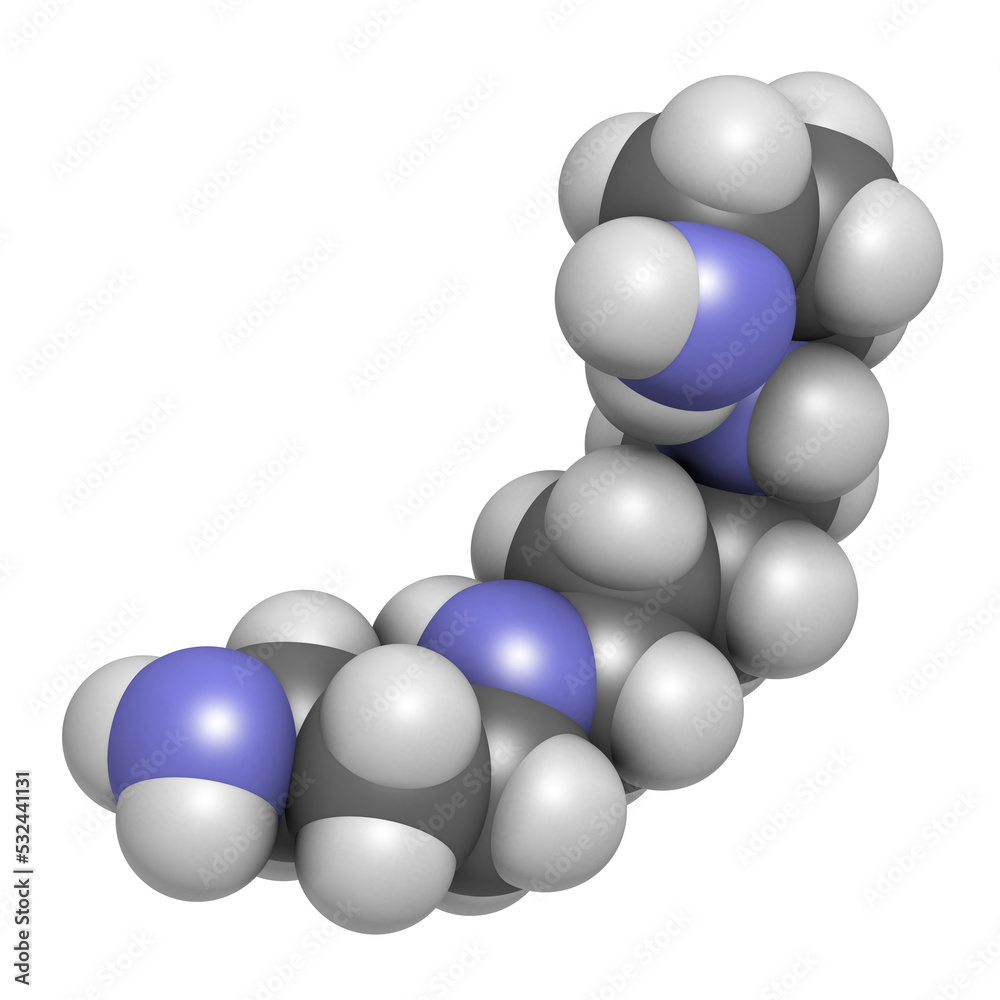Spermine molecule. 3D rendering. Atoms are represented as spheres with conventional color coding: hydrogen (white), carbon (grey), nitrogen (blue). Spermine molecule. 3D rendering. Atoms are represented as spheres with conventional color coding: hydrogen (white), carbon (grey), nitrogen (blue).