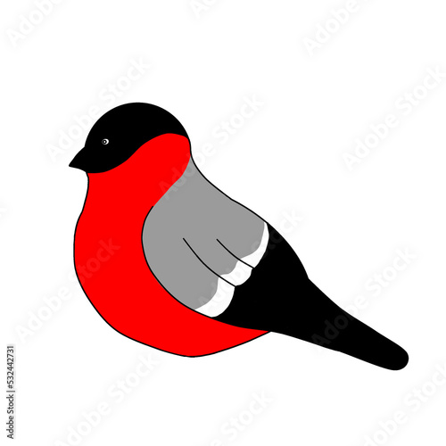 Bullfinch sitting on a branch isolated on white background